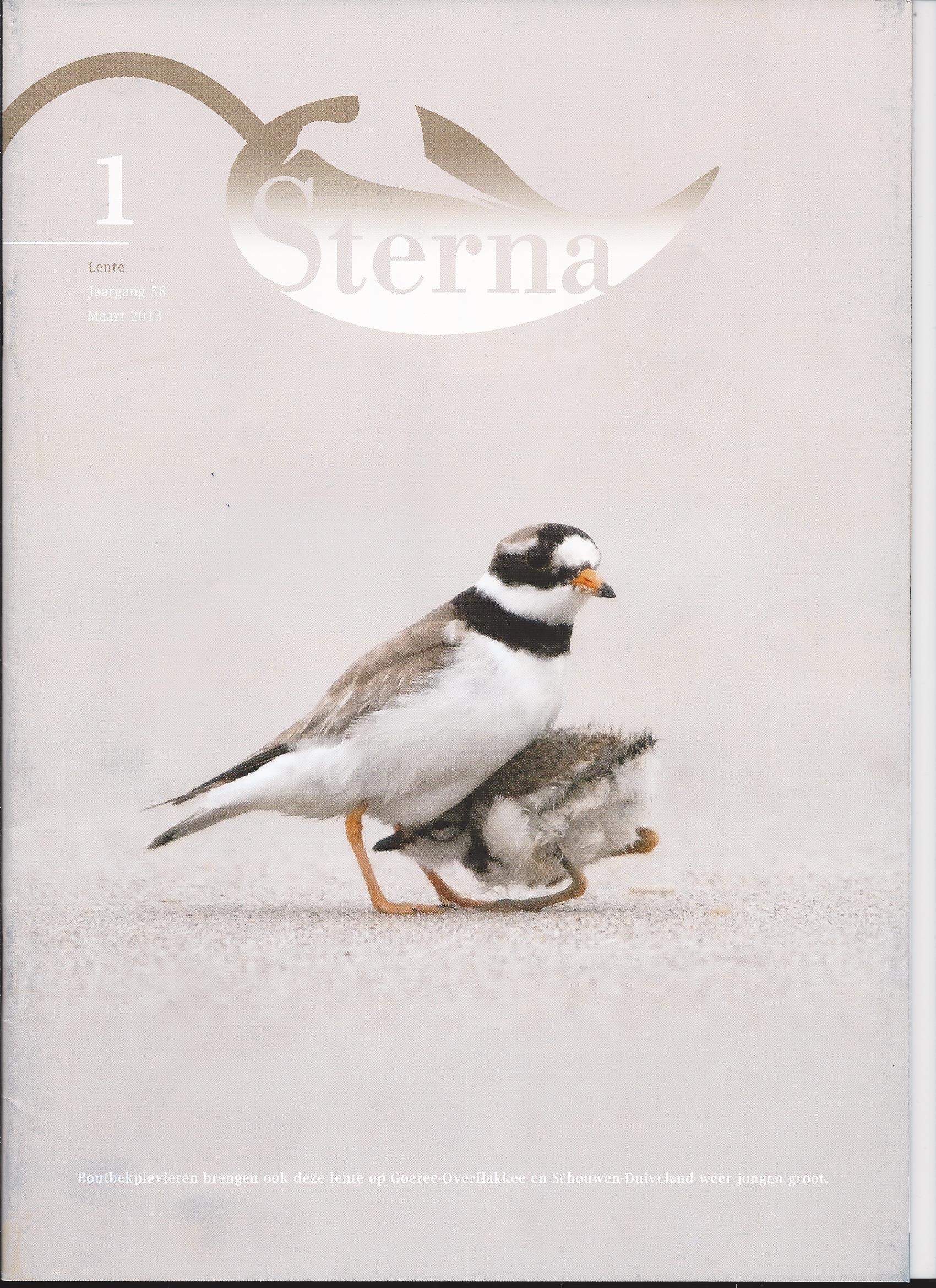 Cover Sterna 