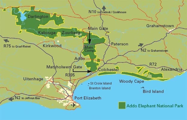 Algoa Bay met Addo National Park in Zuid Afrika